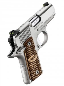 kimber_micro-raptor-stailess